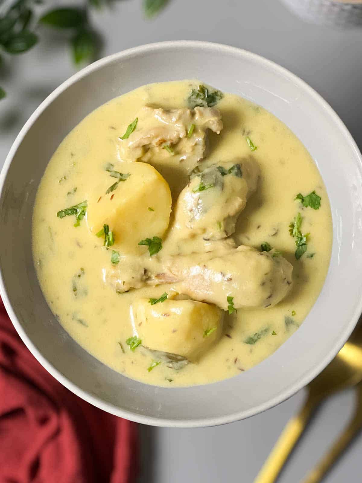 yogurt based potato and chicken salan on a plate